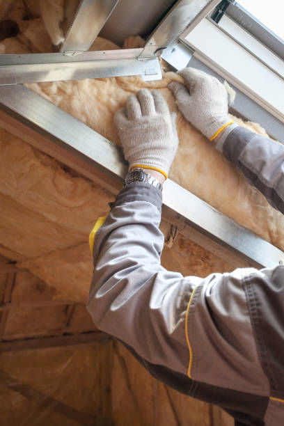 Best Insulation Repair Services  in Barnhart, MO
