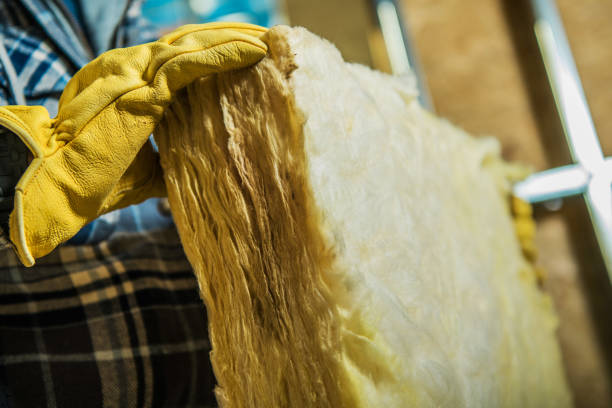 Best Energy-efficient Insulation  in Barnhart, MO