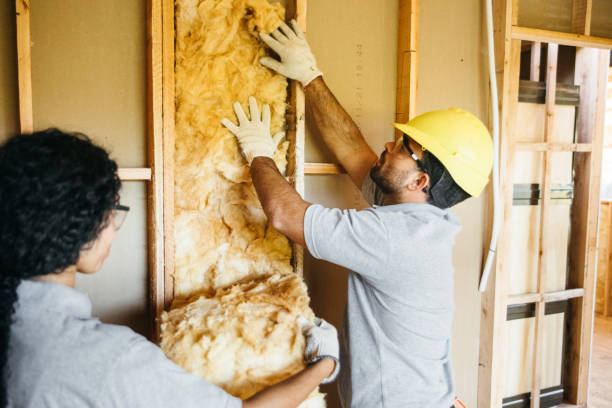 Best Blown-in Insulation  in Barnhart, MO