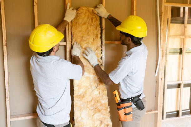 Best Insulation Contractor Near Me  in Barnhart, MO