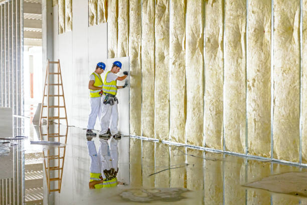 Best Commercial Insulation Contractor  in Barnhart, MO